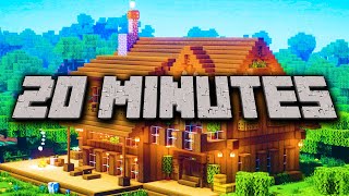 20 Minute Timer MINECRAFT ⛏ [upl. by Dolphin]