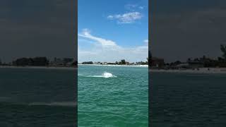 Gulfport Florida Tarpon Fishing fishing tarponfishingsaltlife [upl. by Nnalyrehs]