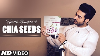 Health Benefits Of CHIA Seeds for weight loss heart brain amp Skin  Guru Mann [upl. by Iznyl]