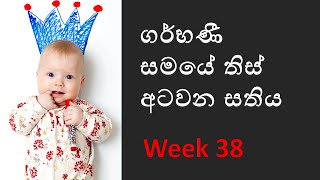 Pregnancy week 38  Pregnant week 38 Sinhala  pregnant week by week sinhala ගර්භණී සති 38 [upl. by Gittel]