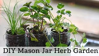 How to Make a Windowsill Herb Garden Simple Garden Gift [upl. by Waldack]