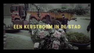 Kerstboom in de stad [upl. by Yrallam]