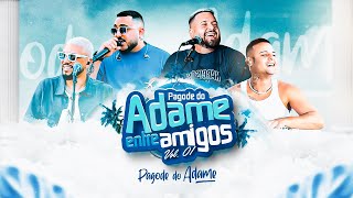 Pagode do Adame  Entre Amigos Vol1 Vídeo Completo [upl. by Eusadnilem671]