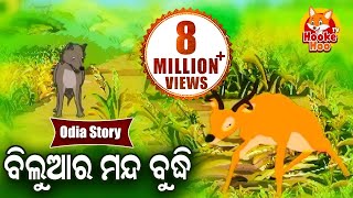 Biluara Manda Budhi ବିଲୁଆର ମନ୍ଦ ବୁଦ୍ଧି Odia Fairy Tale  Odia Moral Story  Sidharth Tv [upl. by Blasien226]