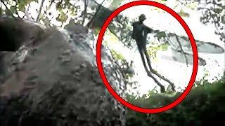 5 Mysterious Creatures Caught on Camera [upl. by Lazes]