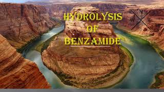 Hydrolysis of Benzamideorganic chemistry practical [upl. by Anaiv838]