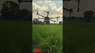 Drone spray shortsfeed ytshorts pleasesubscribe [upl. by Arahsak557]