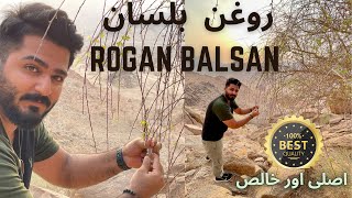 Roghan e balsan in Madina Badr Roghan Balsan purest best quality [upl. by Ger]