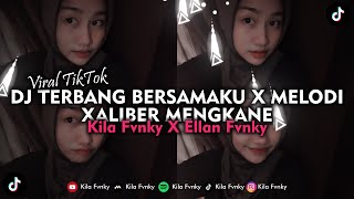 DJ TERBANG BERSAMAKU X MELODI XALIBER MENGKANE SOUND RONIX REVAMP VIRAL TIKTOK 2023 [upl. by Siobhan984]