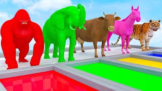 Learn Colors With Animals Cow Tiger Lion Gorilla Elephant Shark Crossing Animal Animation [upl. by Kneeland]