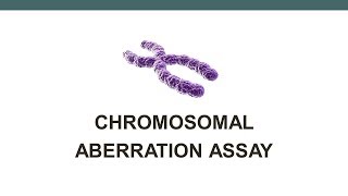 Chromosomal Aberration assay [upl. by Thaine]