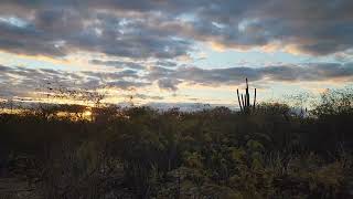 Entardecer no Bioma Caatinga [upl. by Tiffanie]