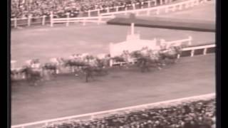 This Fabulous Tuesday Melbourne Cup Collection  Opener [upl. by Ydnac]