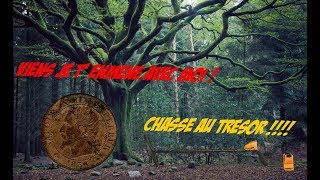 JE VOUS ENMENE AVEC MOI  CHASSE AUX TRÉSORS  DÉTECTION01 [upl. by Anikas749]