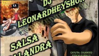 Salsa Malandra Dj Leonardheyshon Desde Carutal Calabozo Edo Guárico [upl. by Sanfo]