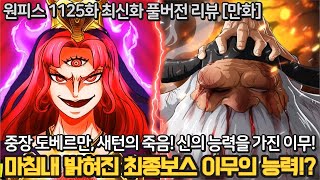 원피스 1125화 풀버전 리뷰 분석 27년만에 밝혀진 이무의 절대신 능력 중장 도베르만과 새턴의 비참한 죽음 [upl. by Yrelbmik859]