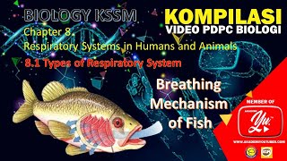 82 Breathing mechanism of fish [upl. by Nedac]