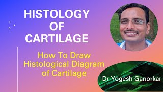 REVIEW OF THE CARTILAGEEDUCATION FOR HEALTH AND FITNESS PROFESSIONALS HOW TO DRAW HISTOLOGY DIAGR [upl. by Htinek]