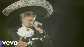 Vicente Fernández Mariachi México de Pepe Villa  El Tahur Audio [upl. by Hercule]