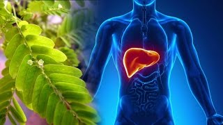 Liver Formula NEW IMPROVED why your liver is SO important [upl. by Kant]