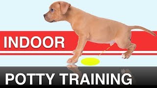 How to Indoor Potty Train your Dog with the Potty Training Puppy Apartment [upl. by Natty]