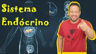 Sistema Endócrino  Conceito Função e Componentes  Hormônios  Fisiologia Humana  Aula 1 [upl. by Hugon]