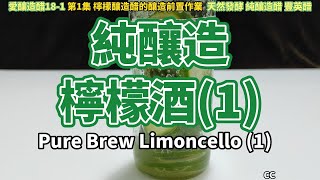 原創 檸檬苦素的純釀造全過程 檸檬酒1CC天然發酵Limoncello 1 リモンチェロ（1）Limoncello 1 愛釀造醋181台灣南庄豐英醋 [upl. by Bloomer]