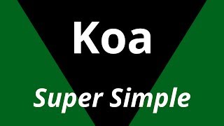 Super basic Koa API [upl. by Appleby]