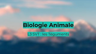 L3 SVT  Biologie Animale 1  les Téguments biologie svt animaux [upl. by Sumaes]