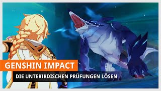 Genshin Impact Die unterirdischen Prüfungen von Drachen und Schlangen Drei Fragmente sammeln [upl. by Akilak]