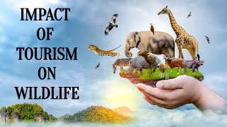 IMPACT OF TOURISM ON WILDLIFE II BOTH VE AND VE II FULL EXPLANATION [upl. by Sherfield]