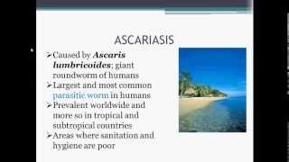 Parasitology Ascariasis Ascaris lumbricoides [upl. by Karlotte]