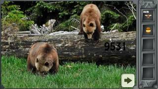 Denali National Park Walkthrough  Escape Games [upl. by Einnij]