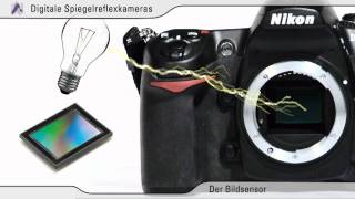 Einführung Digitale Spiegelreflexkamera DSLR Teil 3 von 3 [upl. by Constantine]