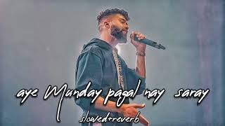 aye Munday pagal nay saray slowed  reverb lofi song by sinu jattt official video [upl. by Ainavi86]