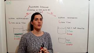 QUIMICA CBC 5 Sitemas Homogéneos y Heterogéneos Exapuni [upl. by Gnuoy]