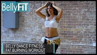 Belly Dance Fitness Calorie Burn Extreme  Shimmy Challenge [upl. by Groot874]