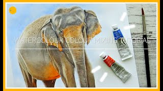 WATERCOLOUR colour MIXING Tutorial Part 2 NEUTRALS amp BROWN from COMPLEMENTARY colours  Elephant [upl. by Agace]