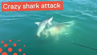 13yearold girl recovering after shark attack in Florida [upl. by Acinoreb]