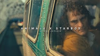 Animals x Starboy  Full Version  Aviral Kapasia  SlowedReverb [upl. by Vernita]