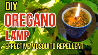 How to Make Oregano Oil Lamp  Health Benefits of Oregano  naturalmosquitorepellent [upl. by Genna]