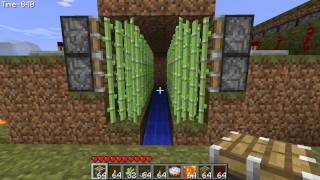 Minecraft AUTOMATED Sugar CaneReed Farm w PISTONS Comentary amp DOWNLOAD [upl. by Boorman]