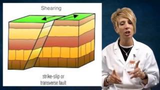 Types of Faults [upl. by Akemor]