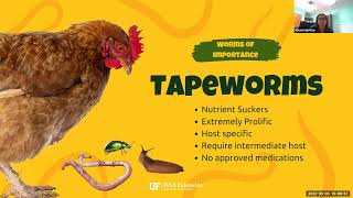 Controlling internal parasites of poultry [upl. by Adriane]