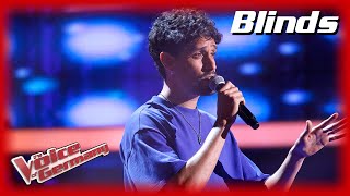 Alvaro Soler  Magia Alberto Vasquez Abreu  Blinds  The Voice of Germany 2022 [upl. by Llereg]