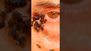 What Happens When These Bees Spot Your Tears 😱 shorts crying [upl. by Sldney]