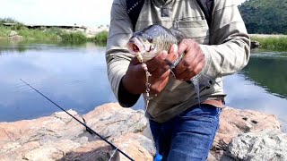 How to catch Mahseer  Using Mahseer Fishing Tackles amp Baits [upl. by Anan]