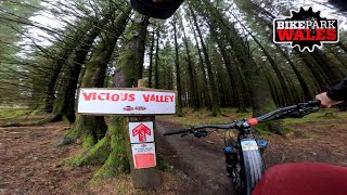 Vicious Valley  Bike Park Wales 2024 [upl. by Kamin]