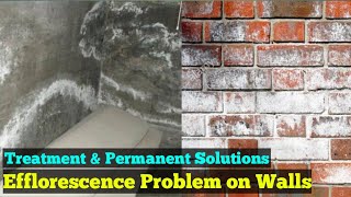 Efflorescence Effect amp Treatment  How to Remove Efflorescence from Brick [upl. by Sedaiuqlem]