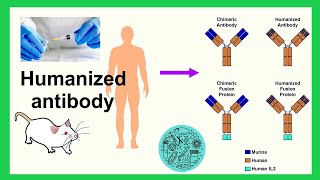 humanized antibody [upl. by Ashman]